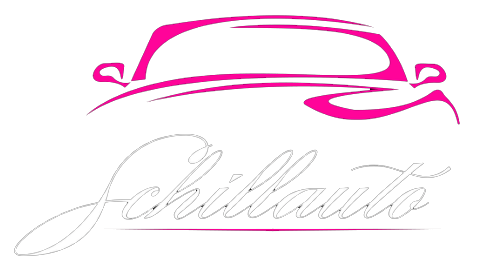 logo sito schillauto
